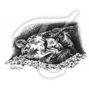 Animals Portfolio